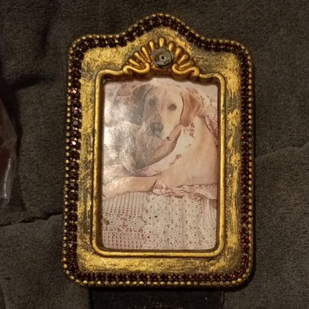 Belladonna Made In Canada In The 90s Gold and Brown Picture Frame 🖼️